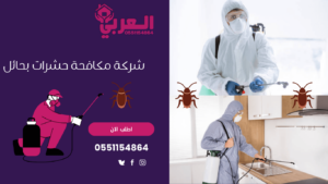 على ماذا يدل وجود الحشرات في المنزل - شركة مكافحة حشرات بحائل