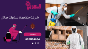 على ماذا يدل وجود الحشرات في المنزل - شركة مكافحة حشرات بحائل