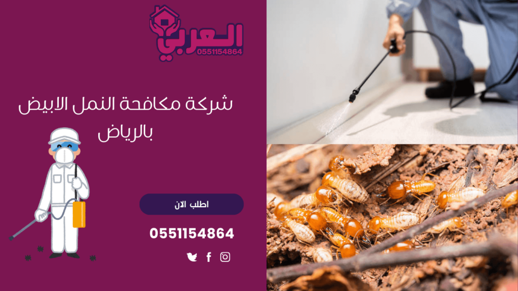 شركة مكافحة حشرات بالرياض النمل الابيض - 0551154864 - شركة مكافحة النمل الابيض بالرياض