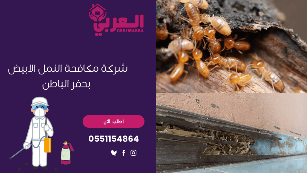 شركة مكافحة النمل الابيض بحفر الباطن - شركة العربي