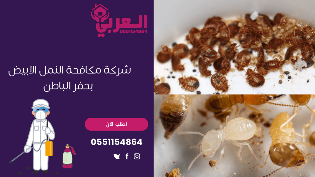 شركة مكافحة النمل الابيض بحفر الباطن - شركة العربي