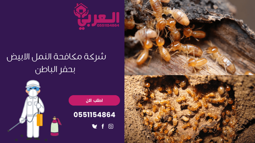 شركة مكافحة النمل الابيض بحفر الباطن - شركة العربي